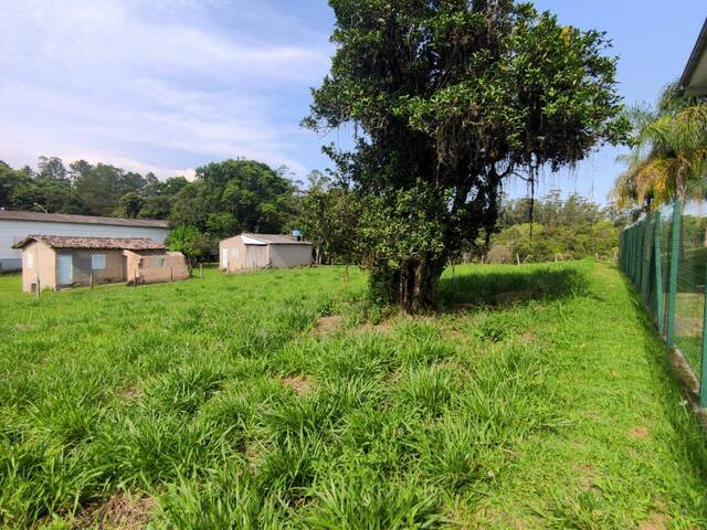 #286 - Terreno para Venda em Criciúma - SC - 1